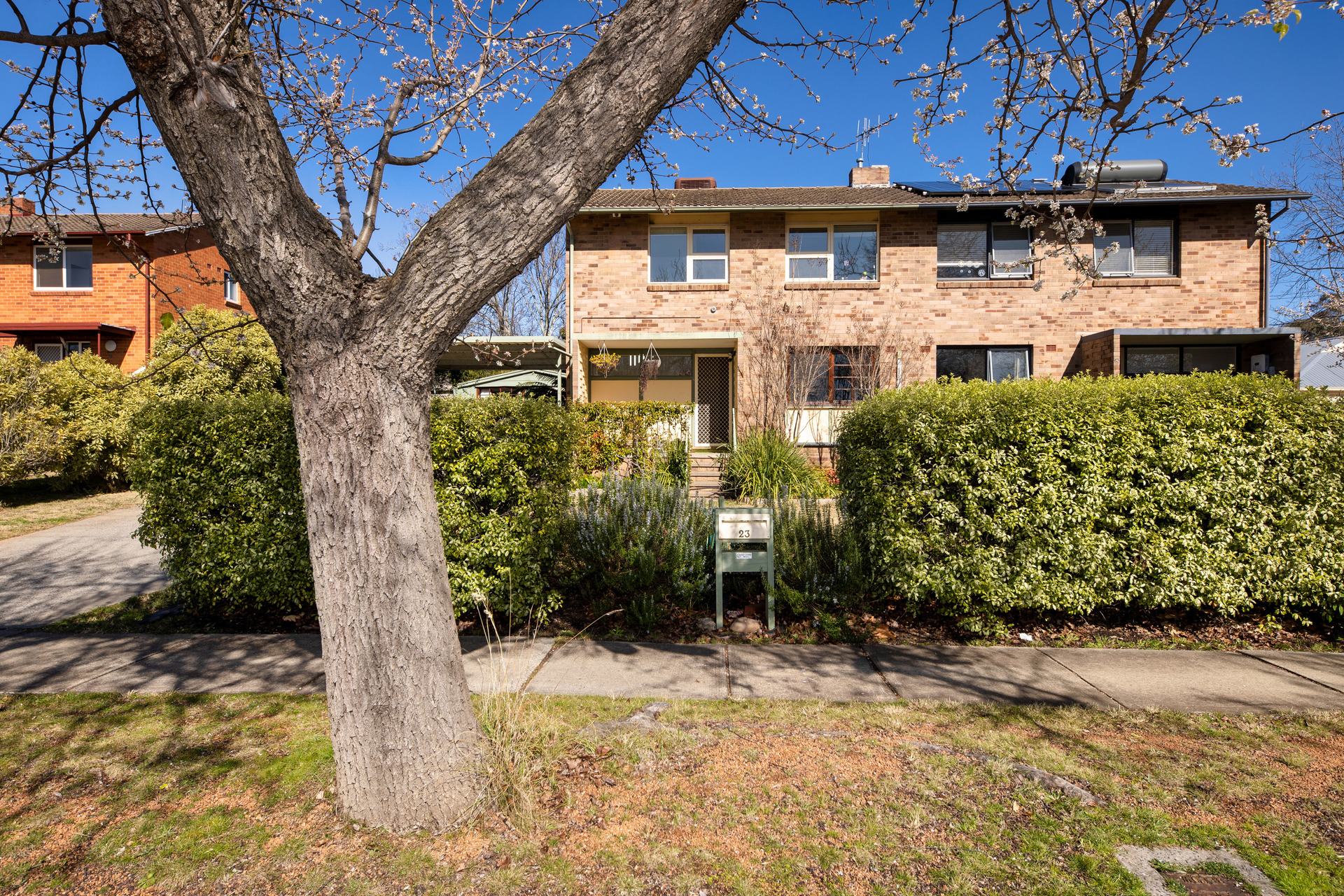 23 Carruthers Street, Curtin ACT 2605, Curtin - Thumbnail 2