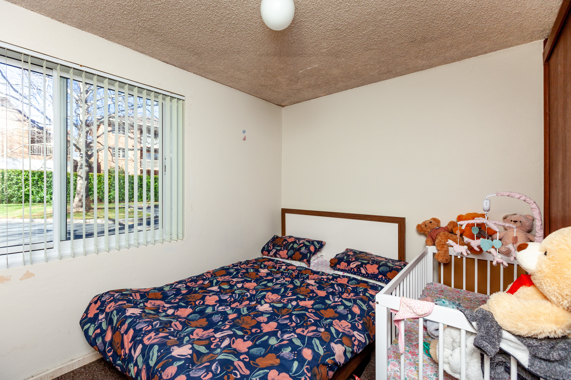 13/3 Waddell Place, Curtin ACT 2605, Curtin - Thumbnail 5