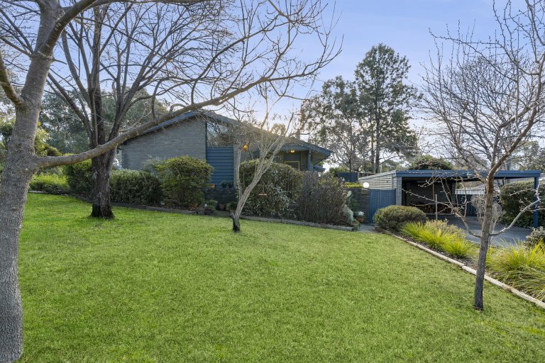 Preview image for Buy