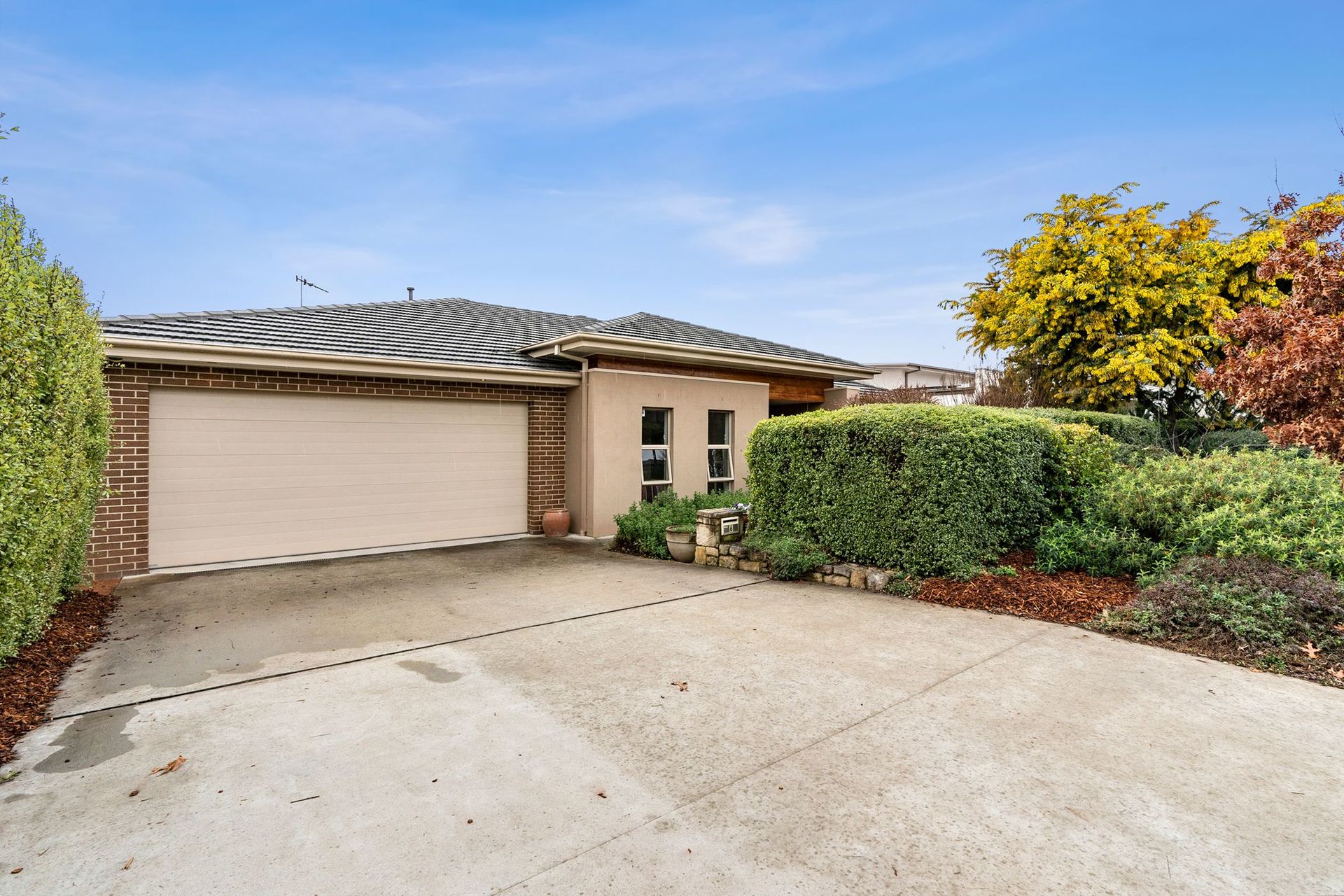 6 Geoff Bardon Street, Weston ACT 2611, Weston - Thumbnail 2