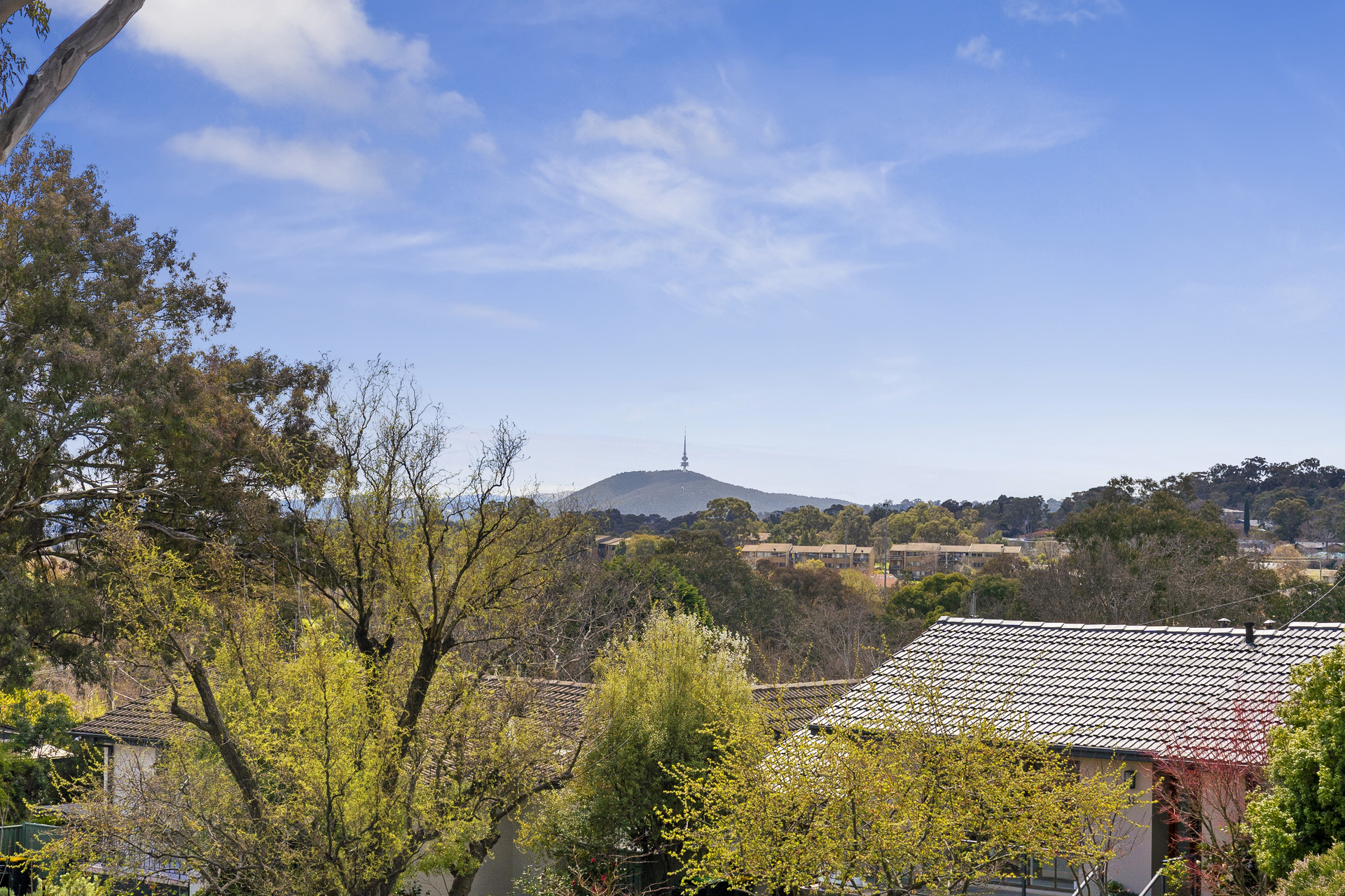 20 Moodie Street, Farrer ACT 2607, Farrer - Thumbnail 4