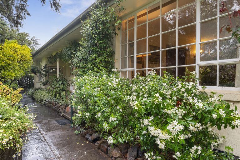 Preview image for Buy