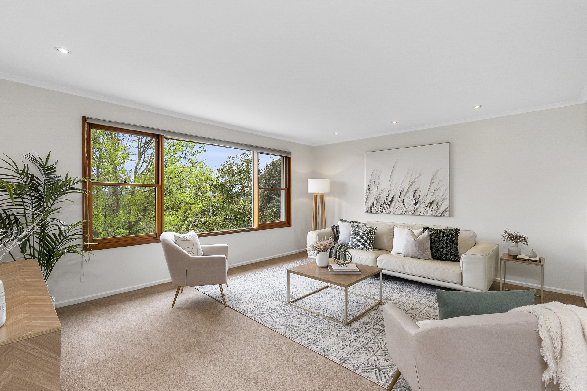 25 Wilson Street, Curtin ACT 2605, Curtin - Thumbnail 7