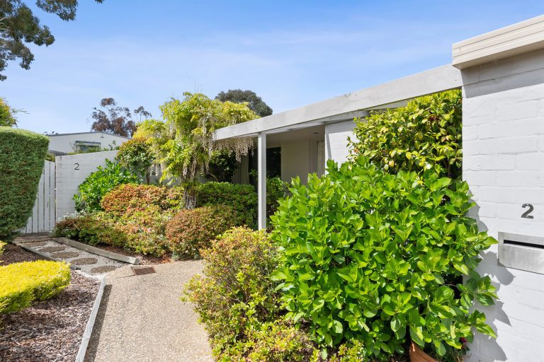 Preview image for Buy