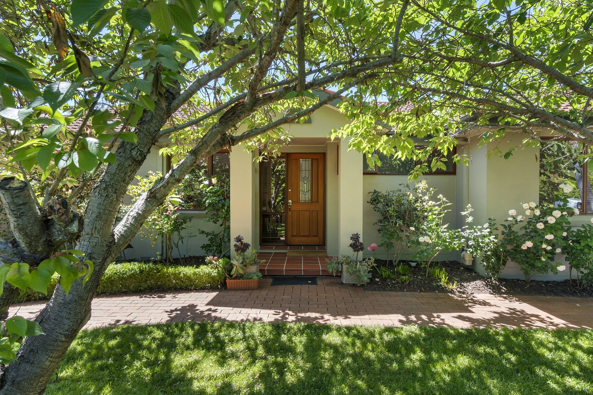 19 Prendergast Street, Curtin ACT 2605