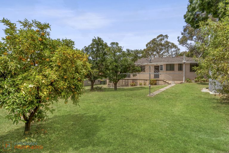 Preview image for Buy