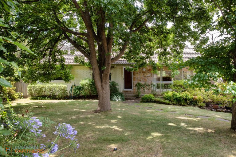 Preview image for Buy