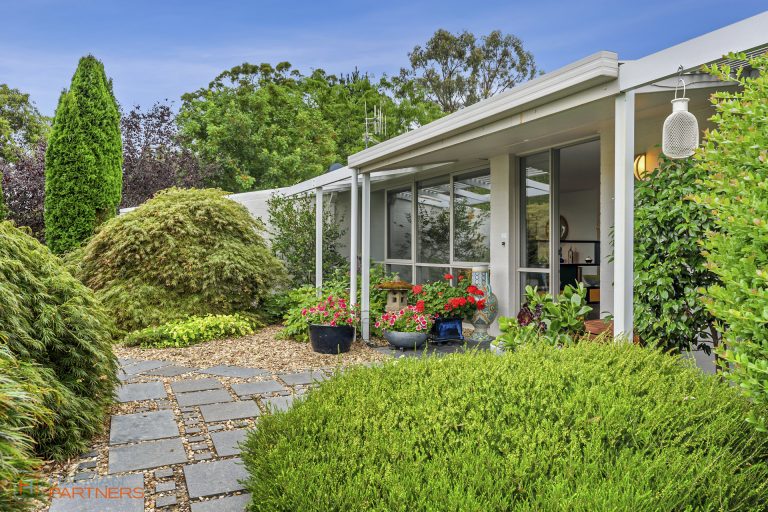 Preview image for Buy