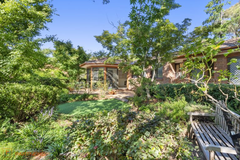 Preview image for Buy