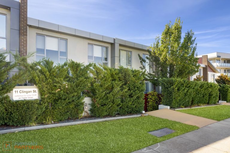 Preview image for Buy