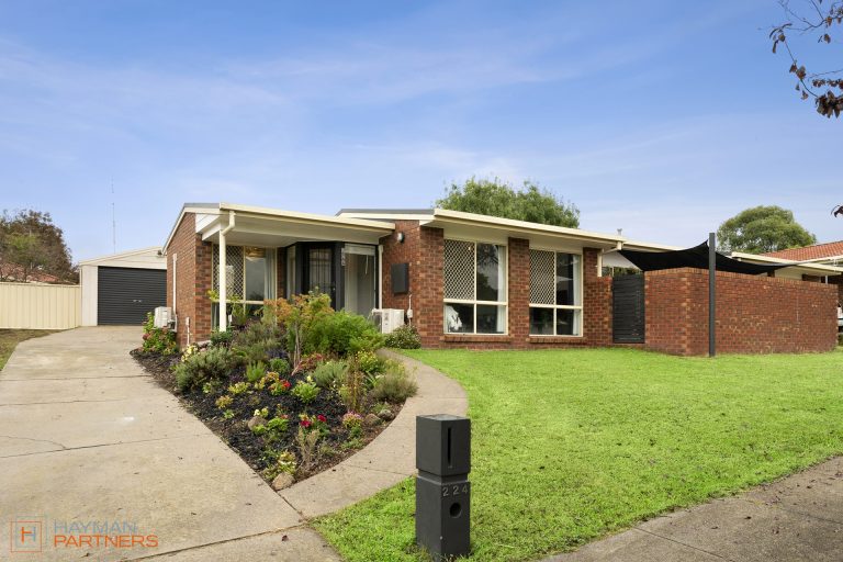 Preview image for Buy