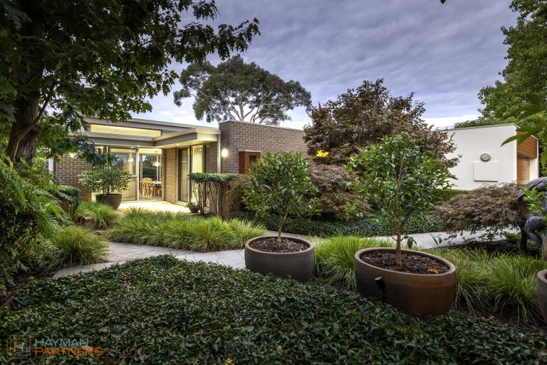 Preview image for Buy