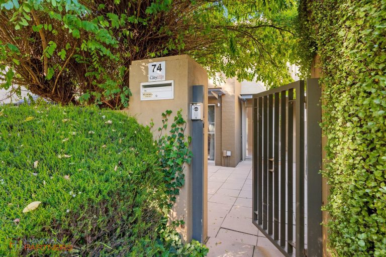 Preview image for Buy