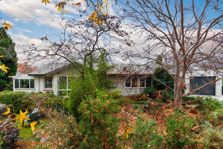 Preview image for Buy