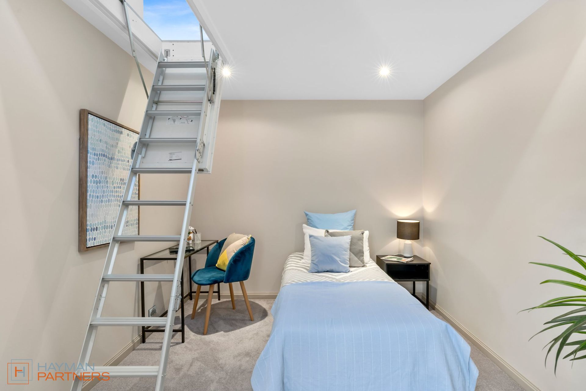8A Wyatt Place, Torrens ACT 2607, Torrens - Thumbnail 7