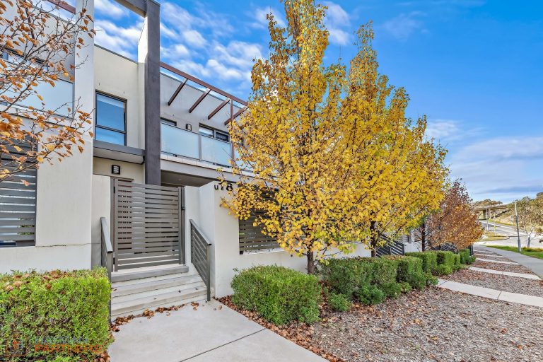 Preview image for Buy