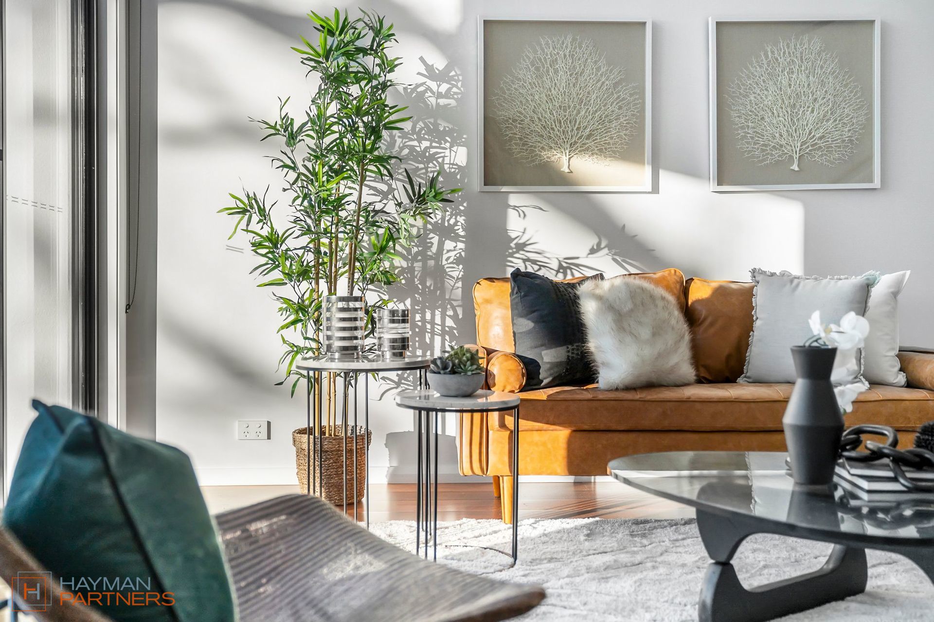 4/14 Narambi Street, Narrabundah ACT 2604, Narrabundah - Thumbnail 4