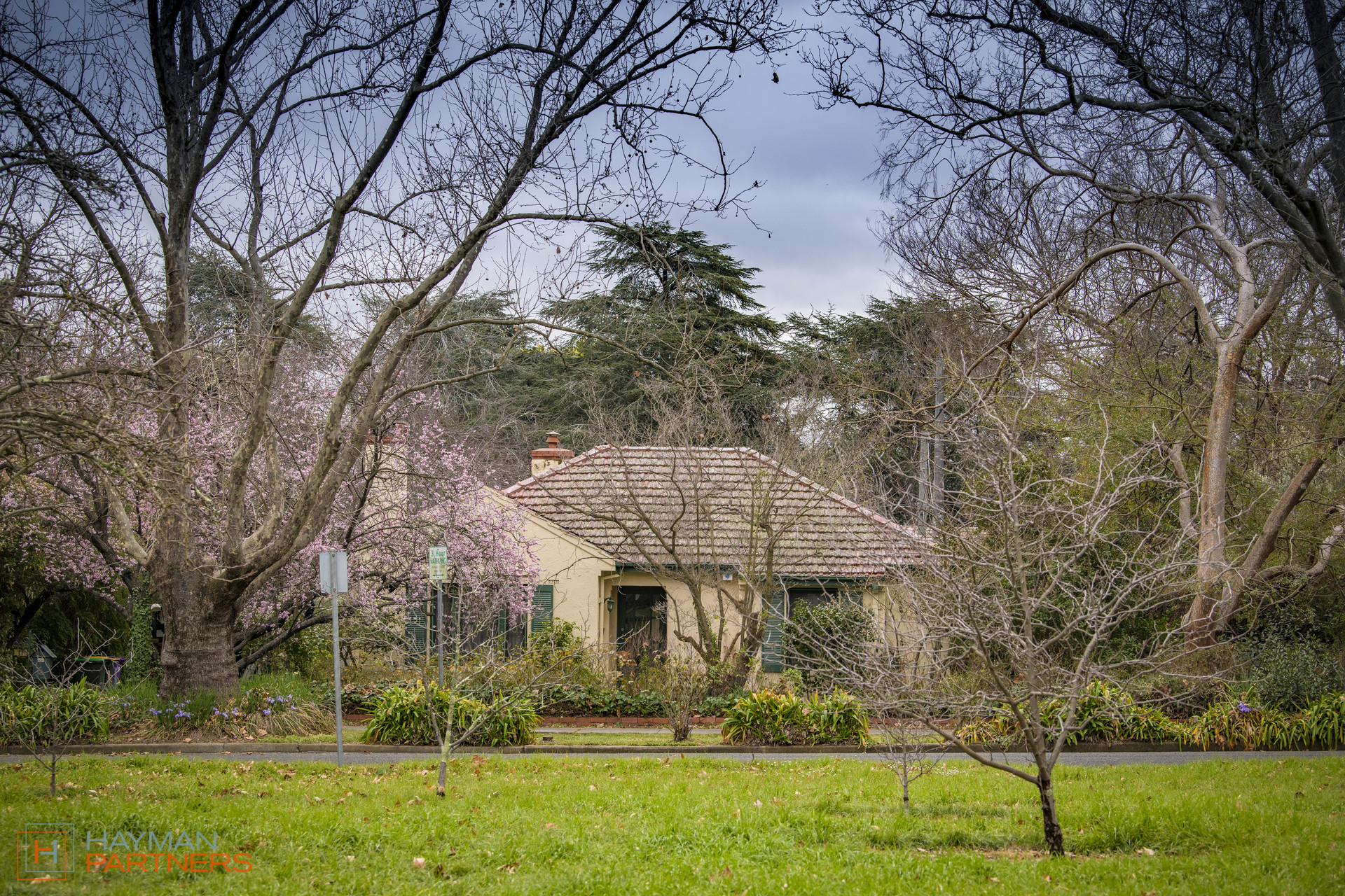 11 Geerilong Gardens, Reid ACT 2612, Reid - Thumbnail 2