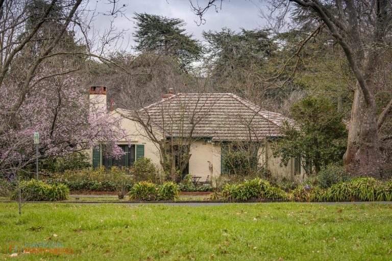 Preview image for Buy