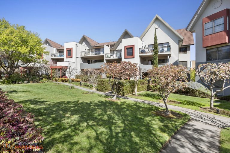 Preview image for Buy