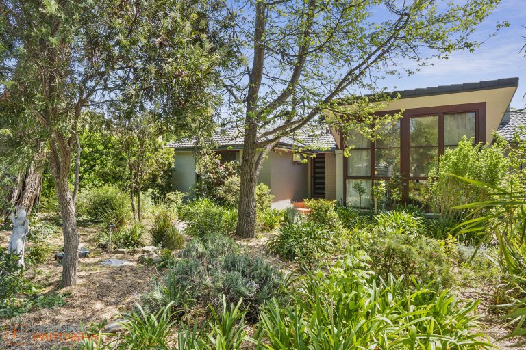 Preview image for Buy