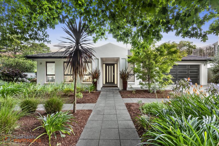 Preview image for Buy