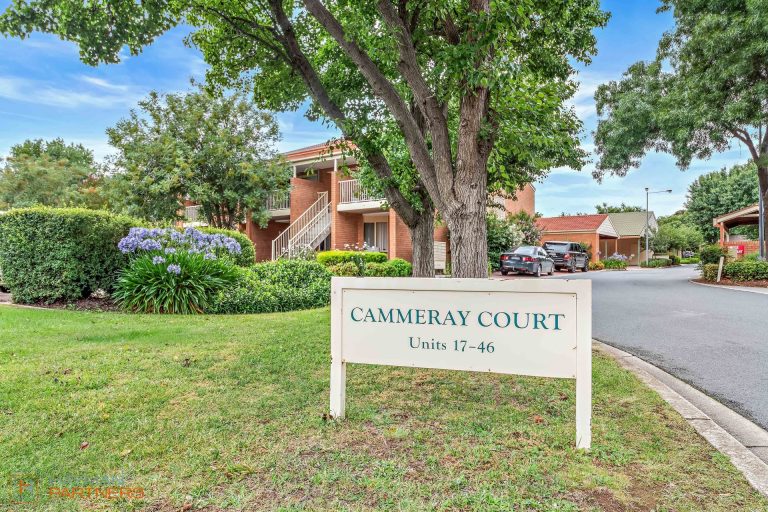 Preview image for Buy