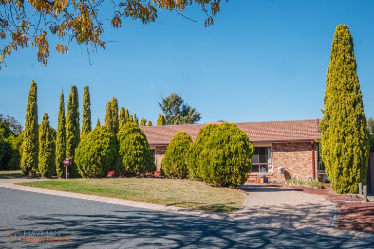 Preview image for Buy