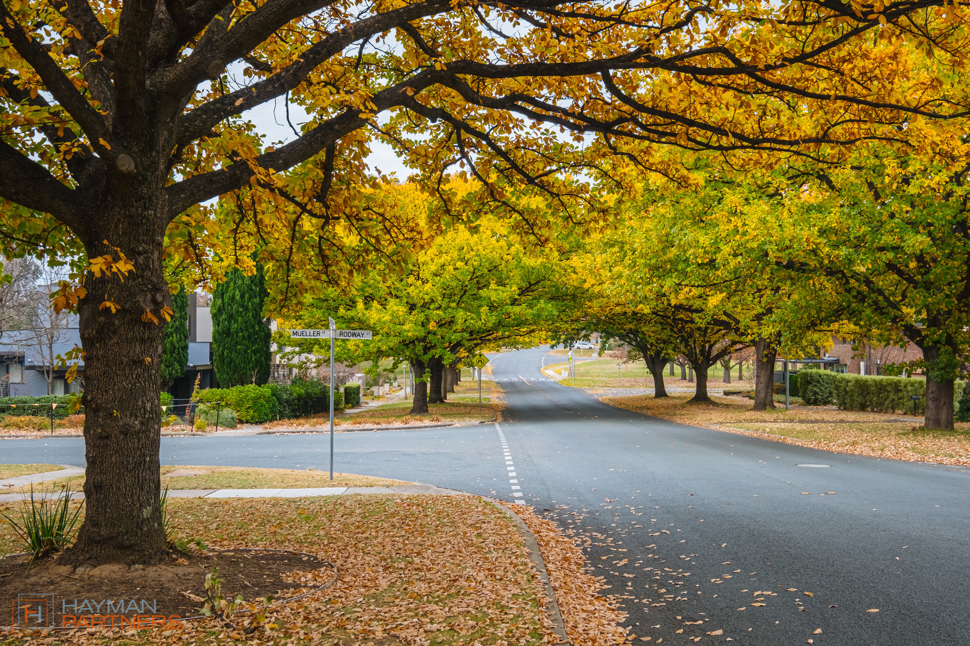 11 Weston Street, Yarralumla ACT 2600, Yarralumla - Thumbnail 2