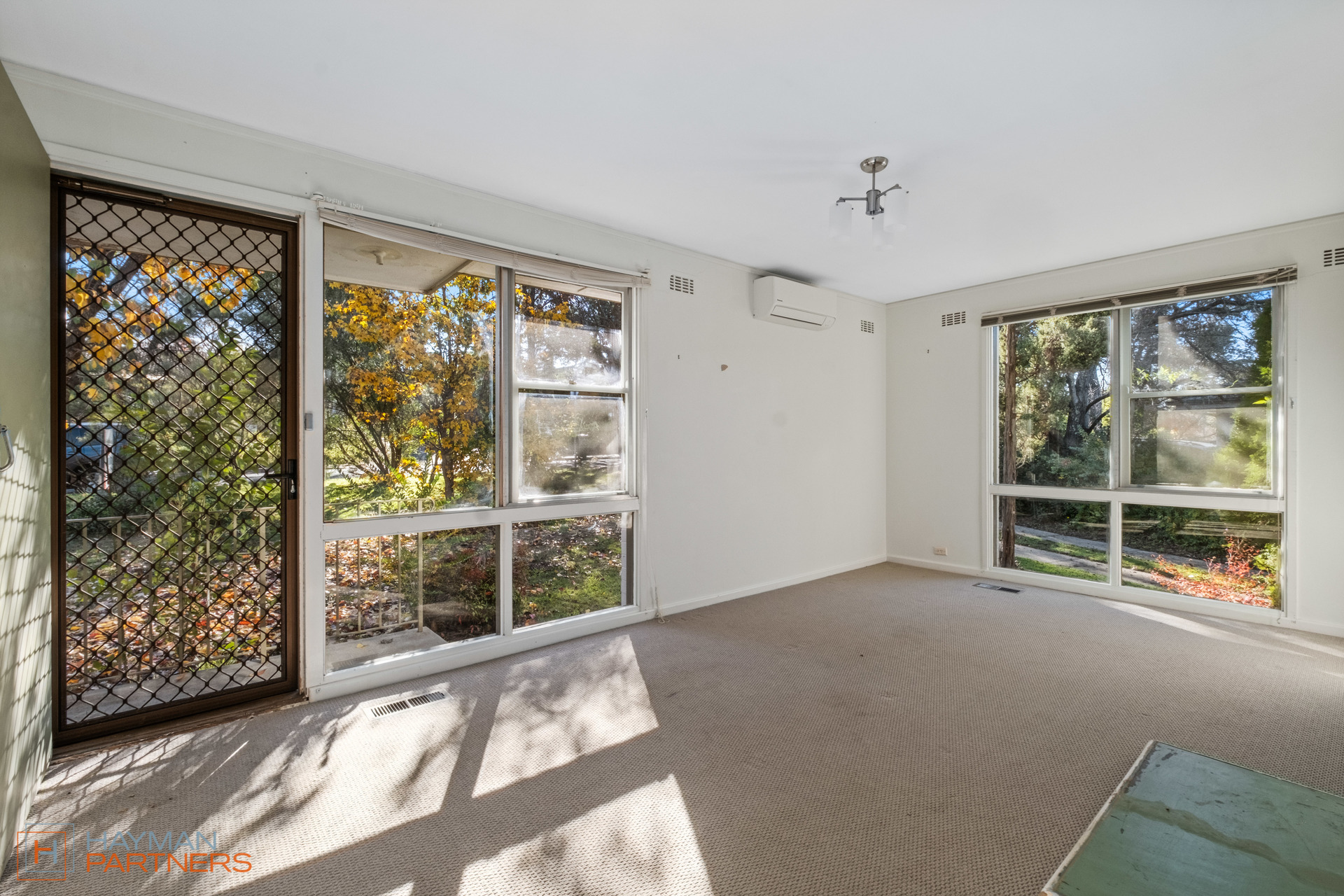 22 Collier Street, Curtin ACT 2605, Curtin - Thumbnail 3