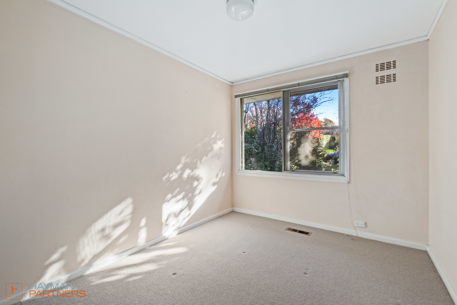 22 Collier Street, Curtin ACT 2605, Curtin - Thumbnail 8
