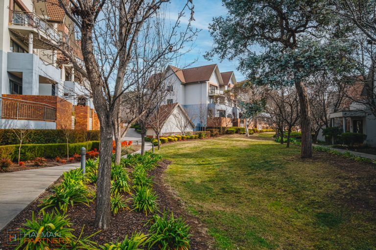 Preview image for Buy