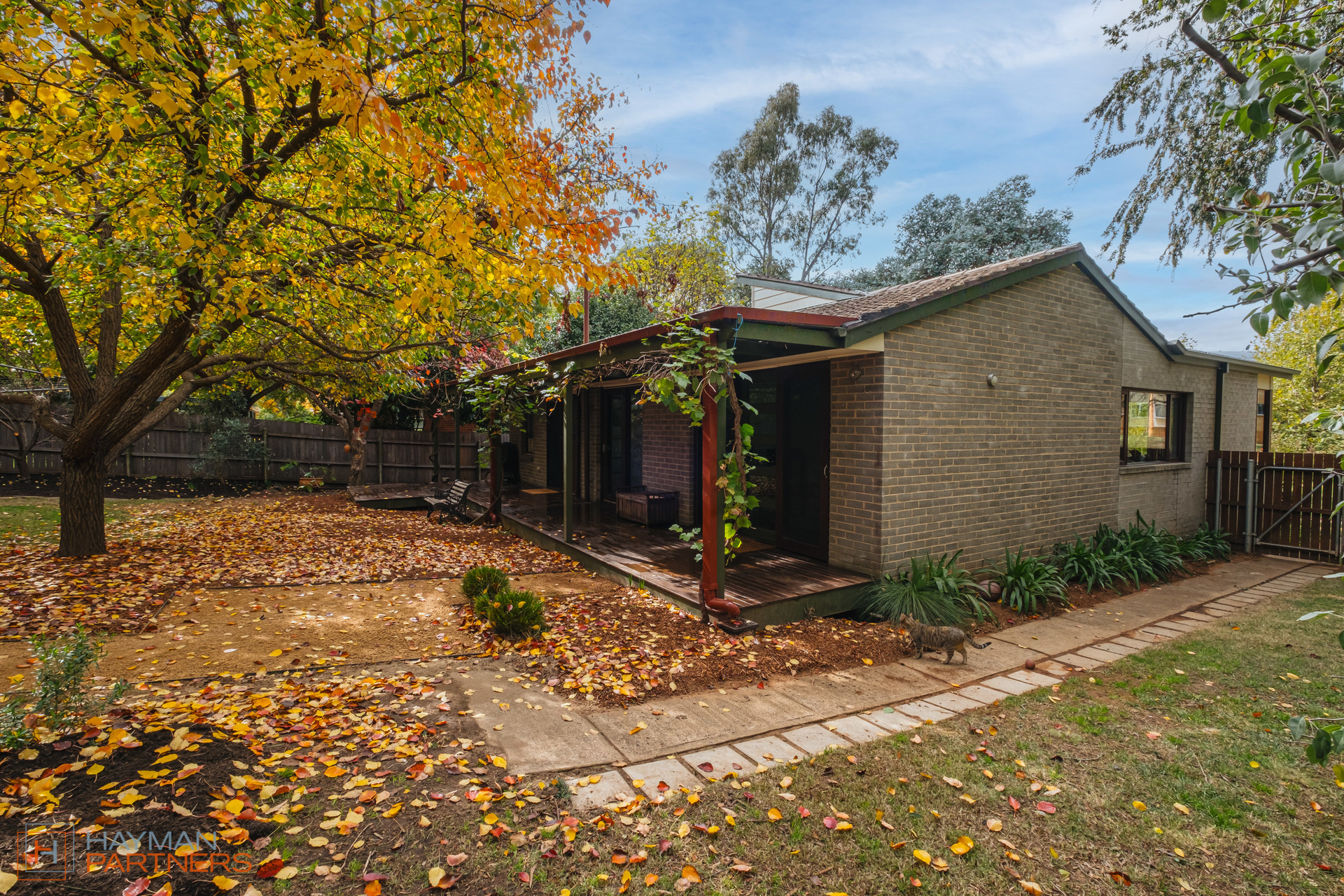 11 Philp Place, Curtin ACT 2605, Curtin - Thumbnail 2