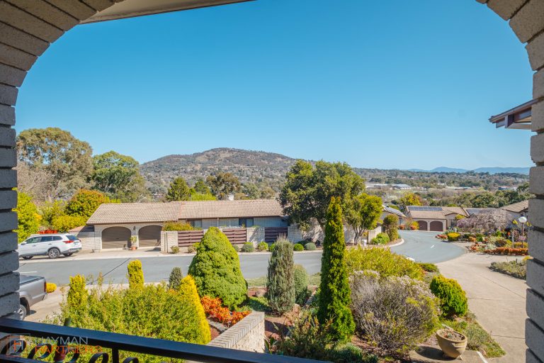 Preview image for Buy