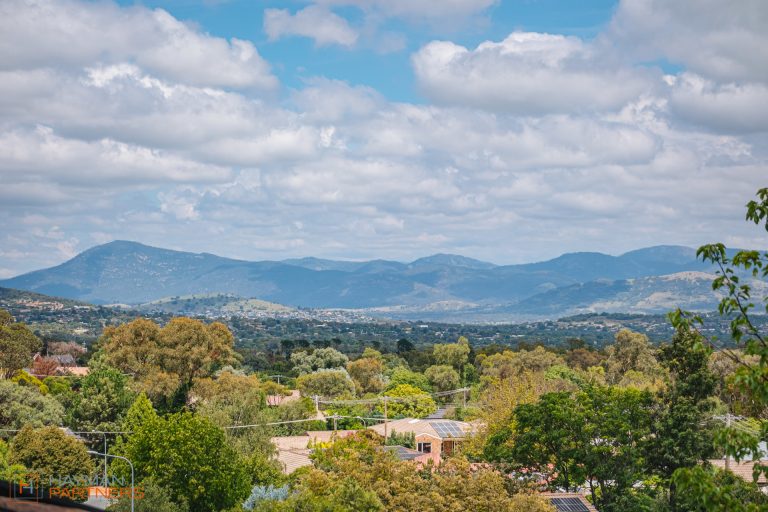 Preview image for Buy