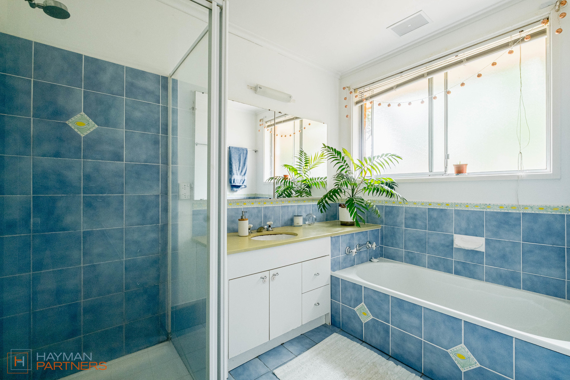 33 Beasley Street, Torrens ACT 2607, Torrens - Thumbnail 7