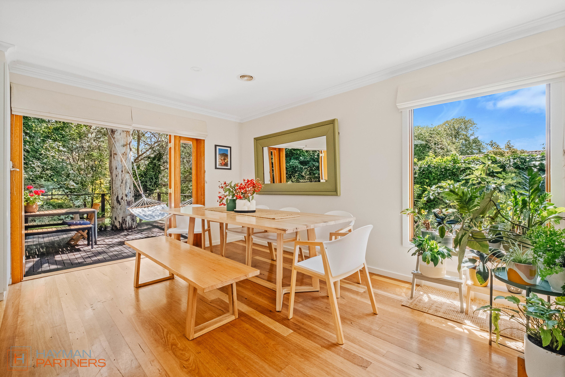 11 Colebatch Place, Curtin ACT 2605, Curtin - Thumbnail 4