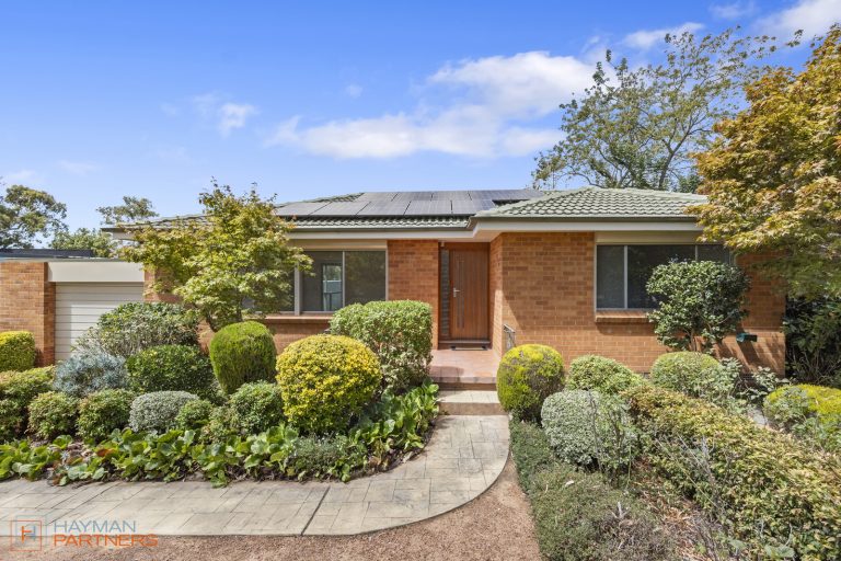 Preview image for Buy