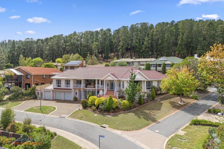 Preview image for Buy