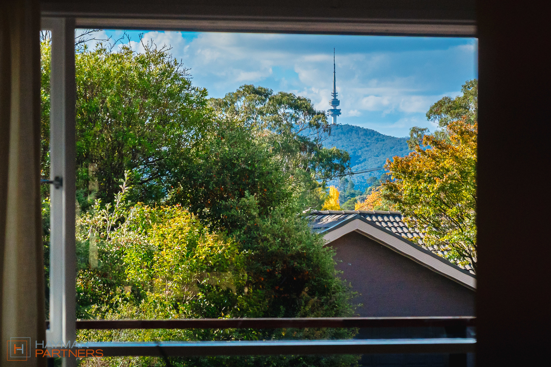 29 Robertson Street, Curtin ACT 2605, Curtin - Thumbnail 6
