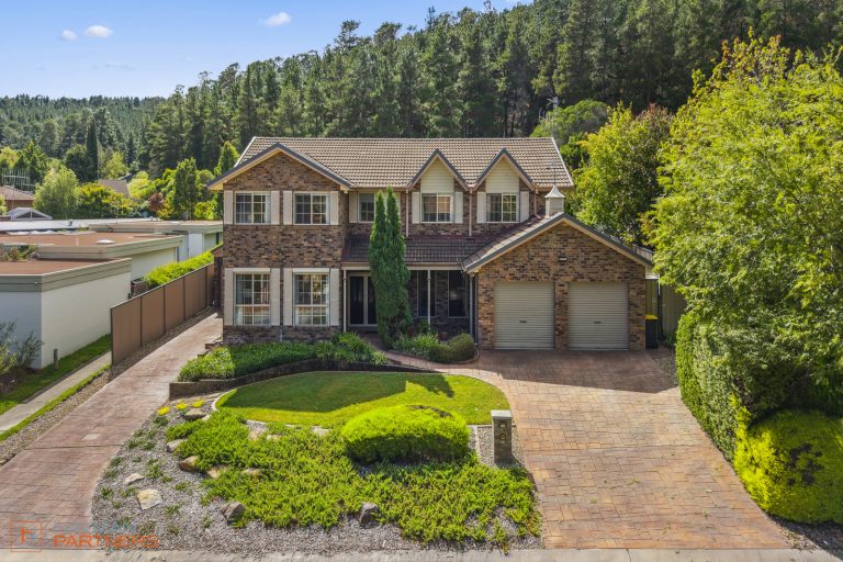 Preview image for Buy