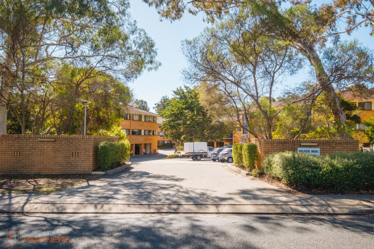 Preview image for Buy