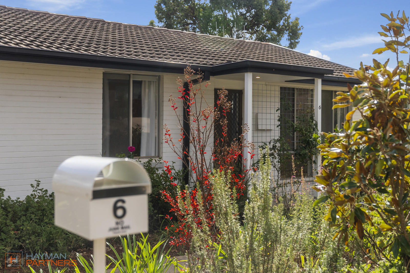 6 Ironside Street, Weston ACT 2611, Weston - Thumbnail 2
