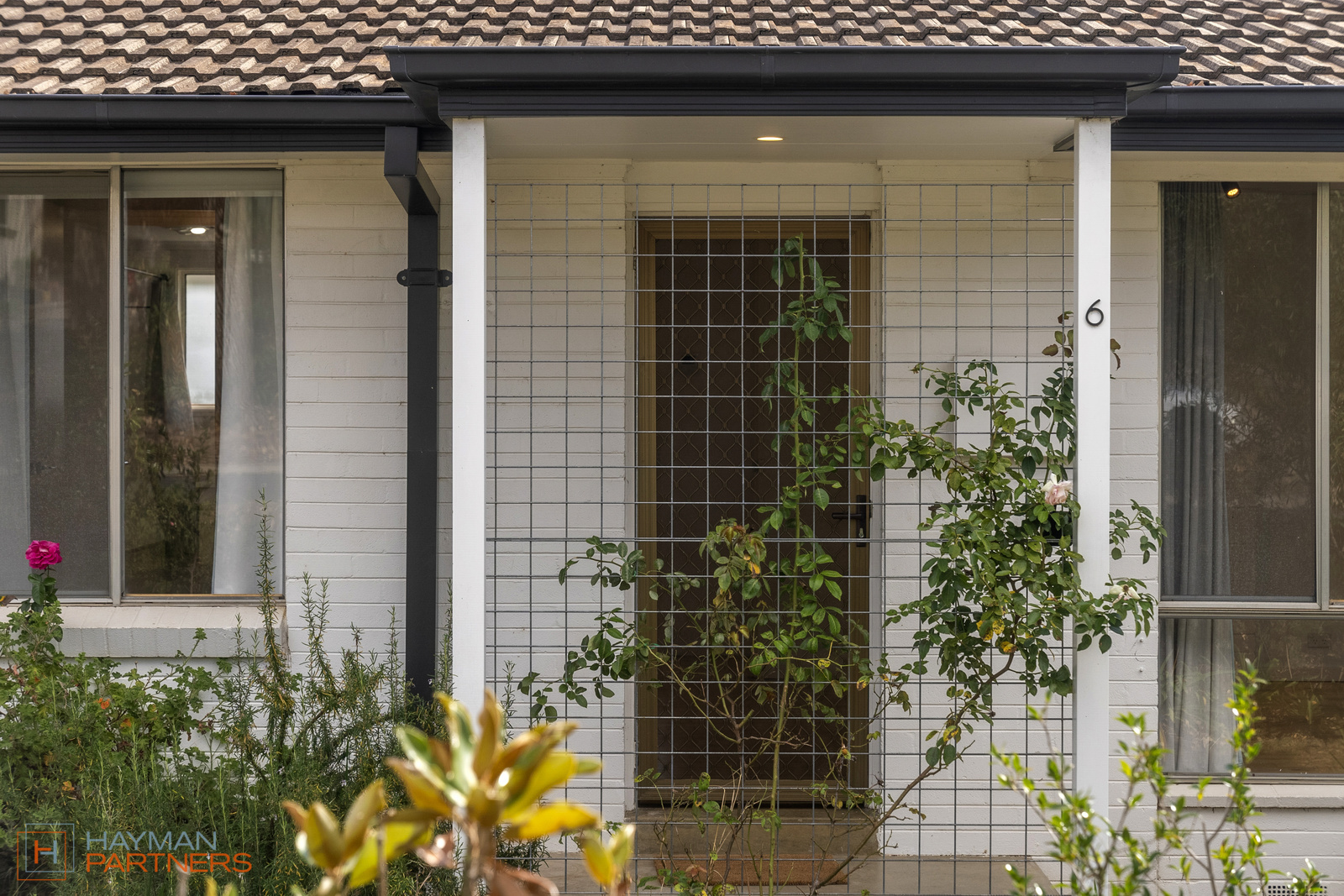 6 Ironside Street, Weston ACT 2611, Weston - Thumbnail 3