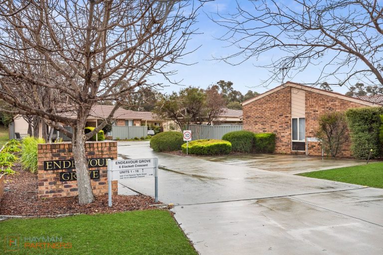 Preview image for Buy