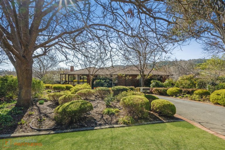 Preview image for Buy