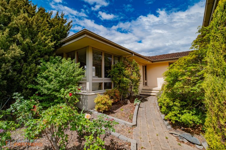 Preview image for Buy