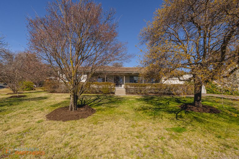 Preview image for Buy