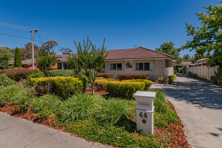 Preview image for Buy