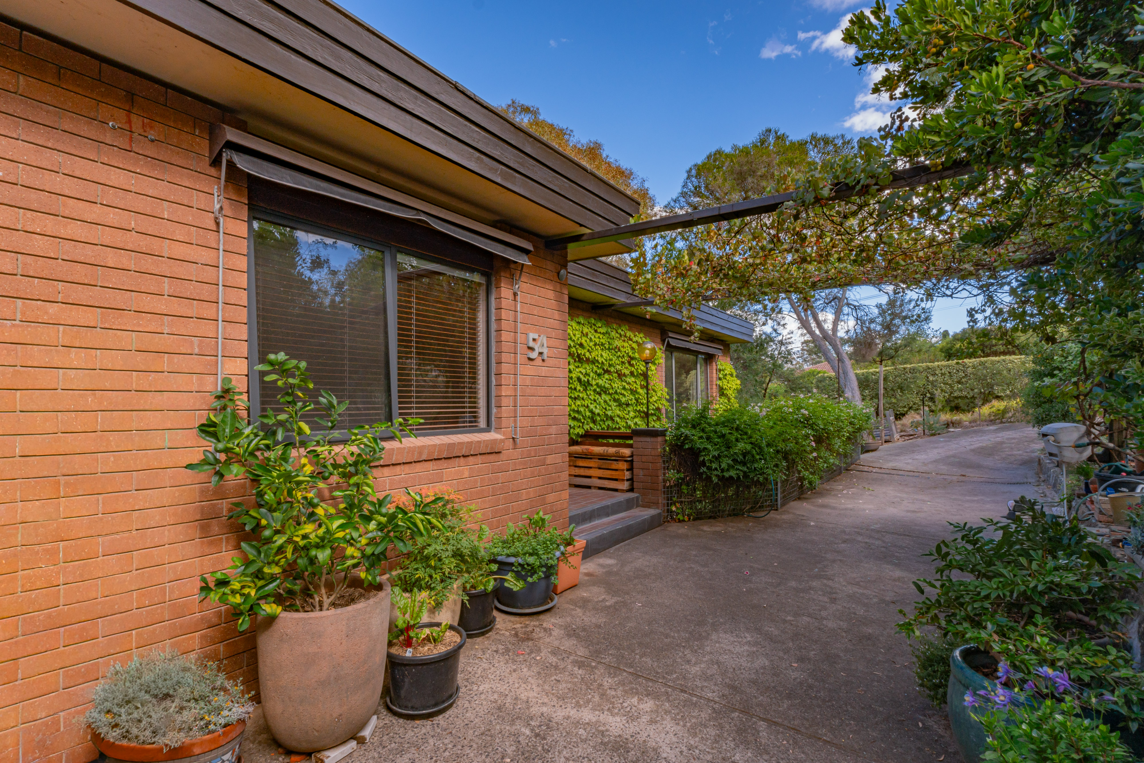 54 Buvelot Street, Weston ACT 2611, Weston - Thumbnail 2